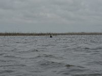 DH8004269  Un pêcheur sur son domaine
