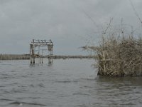 DH8004275  Cabane (en mauvais état) utilisée par les pêcheurs au moment de la pose des filets et de la récolte de poissons pour éviter les vols