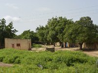 DH83825  Entre Ouagadougou et Fada-Ngourma (BF)