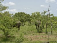 DH83844  Réserve partielle de Pama (BF) sur la N18 en direction de la frontière du Bénin