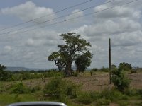 DH83850  Sur la N18 en direction de la frontière du Bénin (BF)