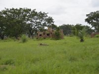 DH85424  Un tata en ruine