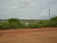 DH8004079  Marais salain sur la route des esclaves (centre de Ouidah - la plage)
