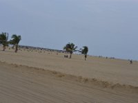 DH8003984  La plage aux abords de Cotonou