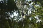 _DSC6809