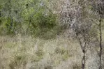 _DSC6965
