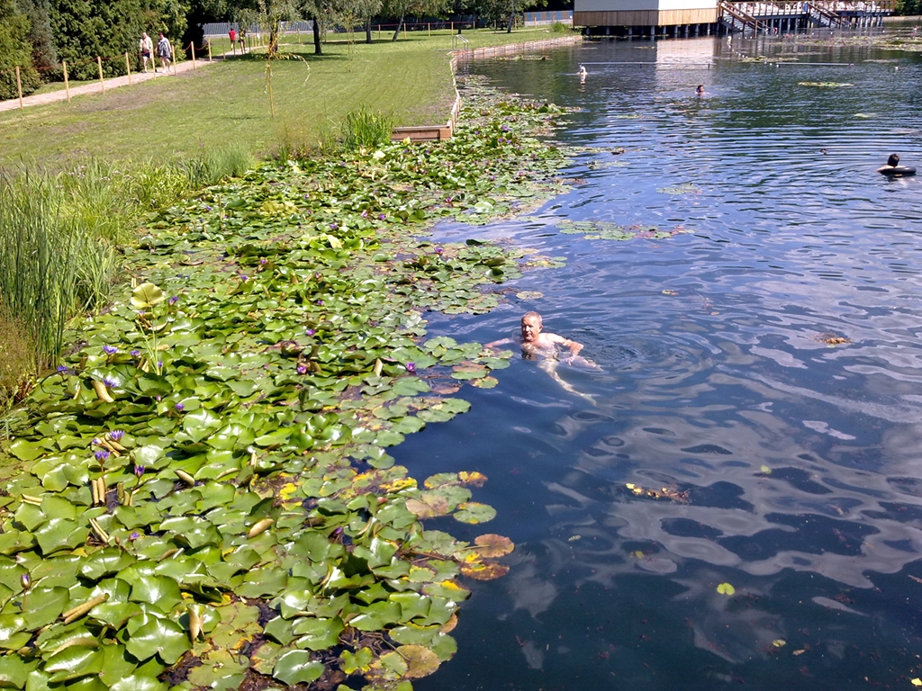 Heviz_ToFurdo_10082011210_modifie1.jpg - DHA
