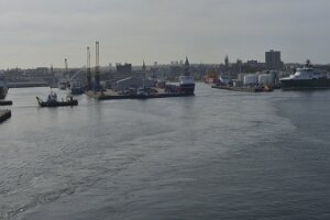 _DH80012429