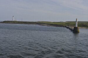 _DH80012447