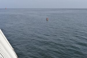 _DH80012452