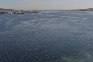 _DH80012481