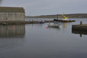 _DH80012485