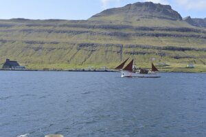 _DH82510