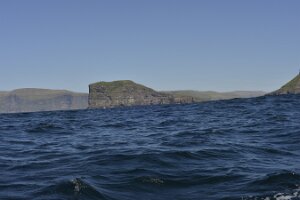 _DH82546