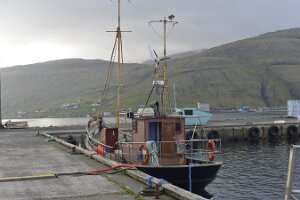 _DH82557