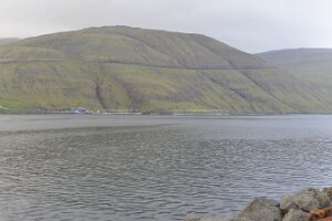_DH82559