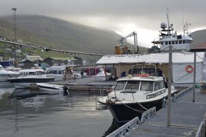 _DH82566