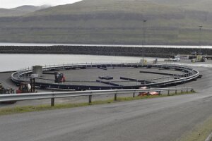 _DH82577