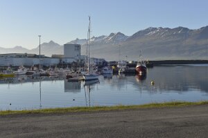 _DH82660
