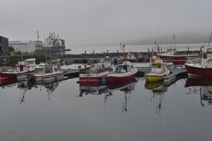 _DH82679