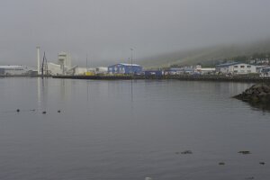 _DH82682