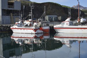_DH82728