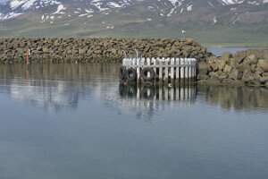 _DH82879