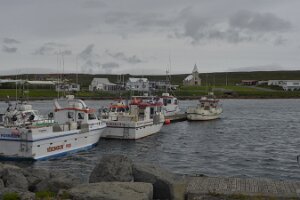 _DH82903