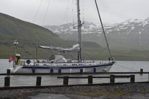 _DH82986