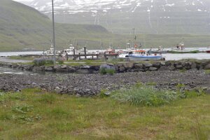 _DH82991