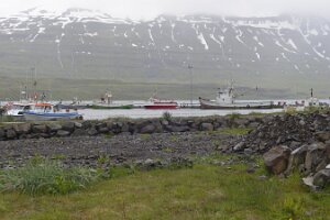 _DH82992