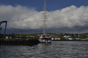 _DH83095