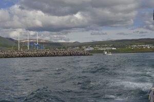 _DH83097