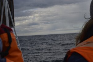 _DH83134