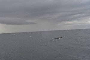 _DH83148