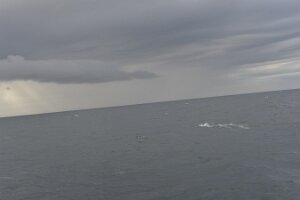 _DH83154