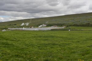 _DH83075
