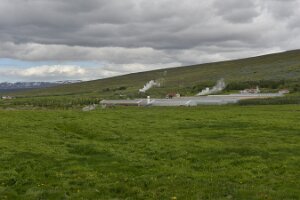 _DH83080