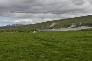 _DH83081