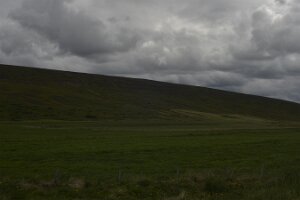 _DH83082