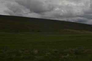 _DH83083