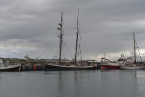 _DH83087