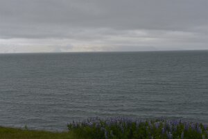 _DH83159