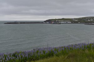 _DH83160