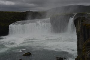 _DH83169