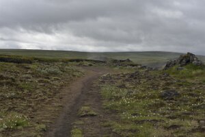 _DH83179