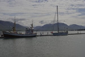 _DH83184