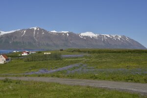 _DH83255
