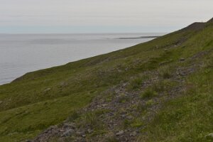 _DH83385