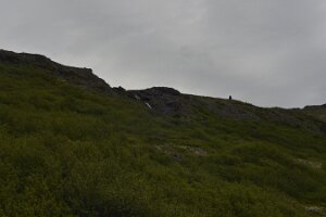 _DH83562